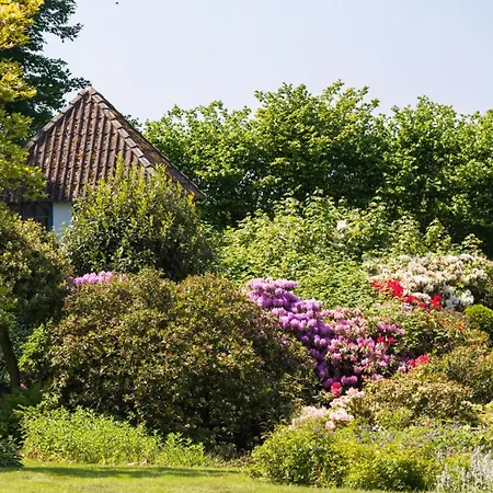 Апартаменты Sjaelegard Countryside