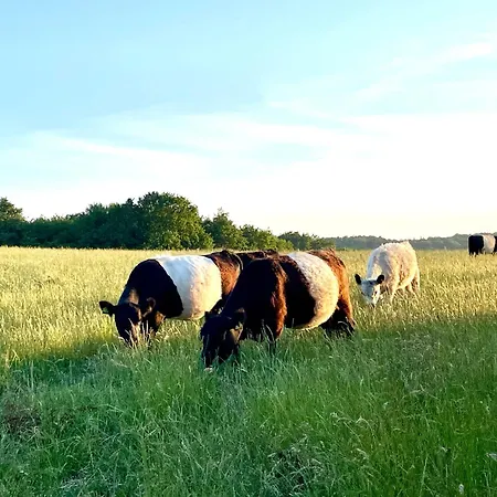Lägenhet Sjaelegard Countryside