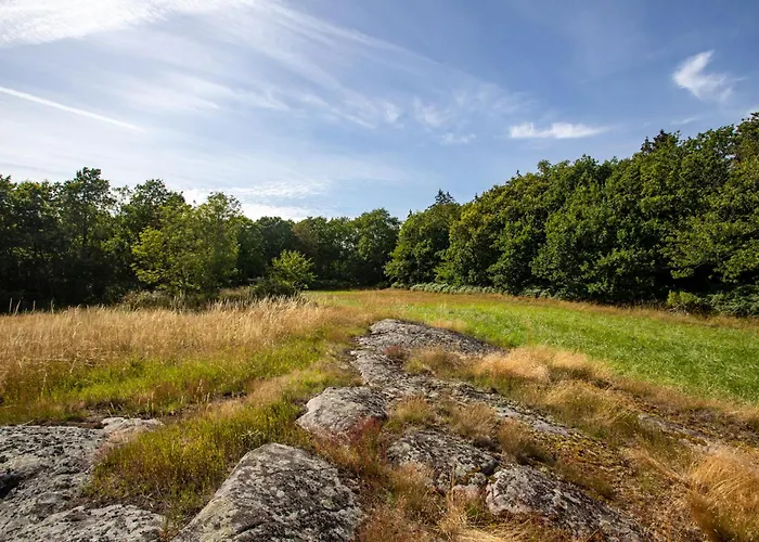 Sjaelegard Countryside * Allinge-Sandvig